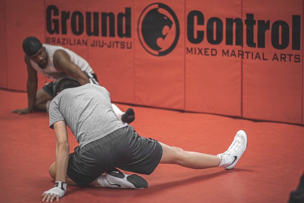 mixed martial arts training