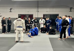 mixed martial arts training