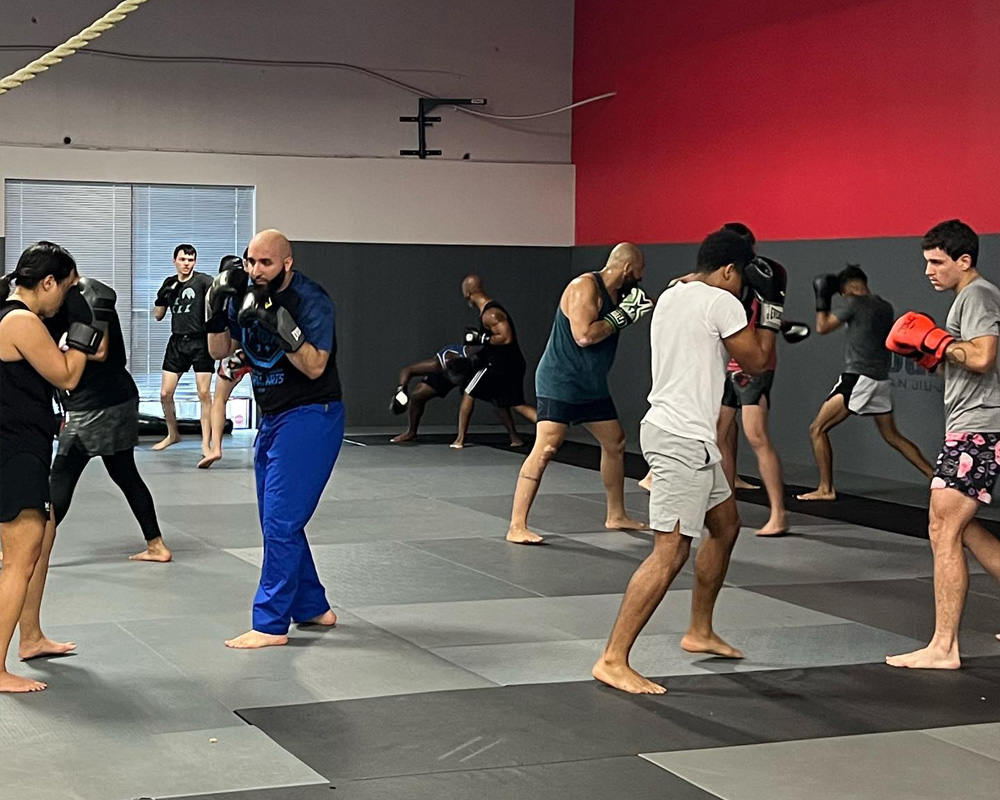 benefits of martial arts