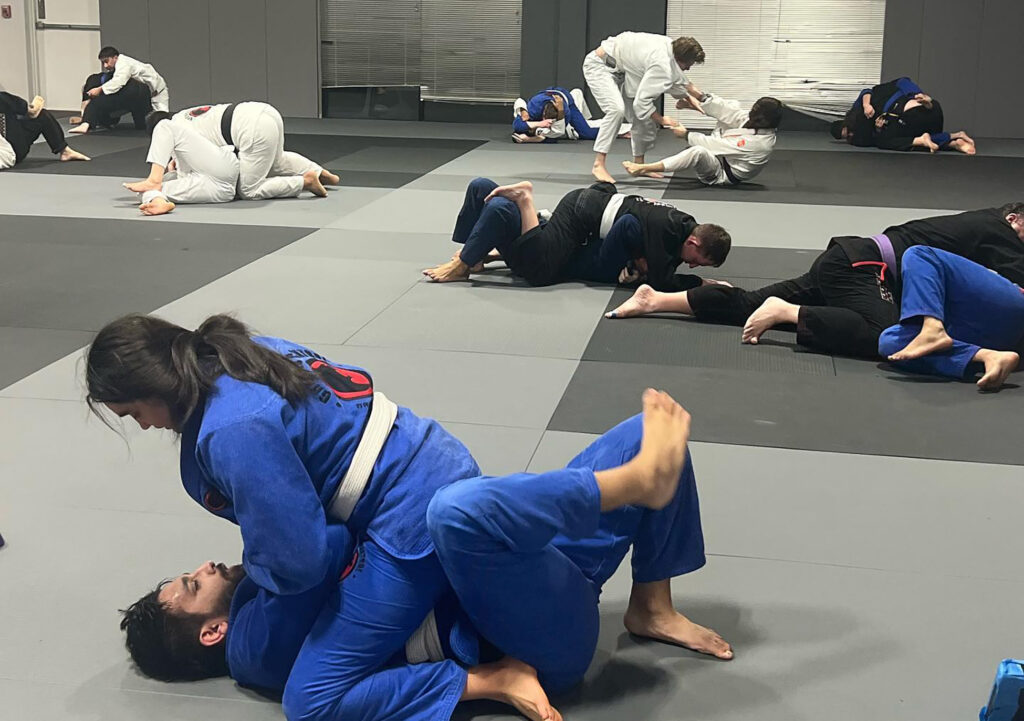 BJJ Skills