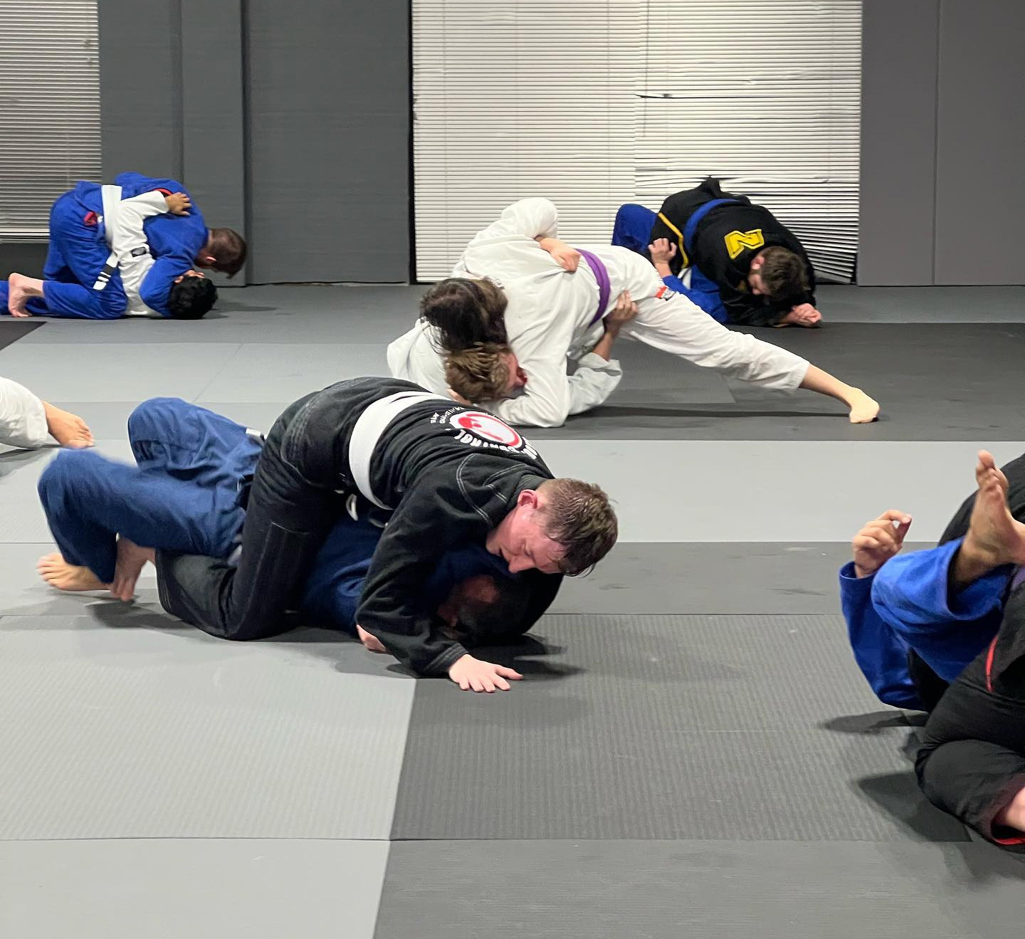 learn bjj