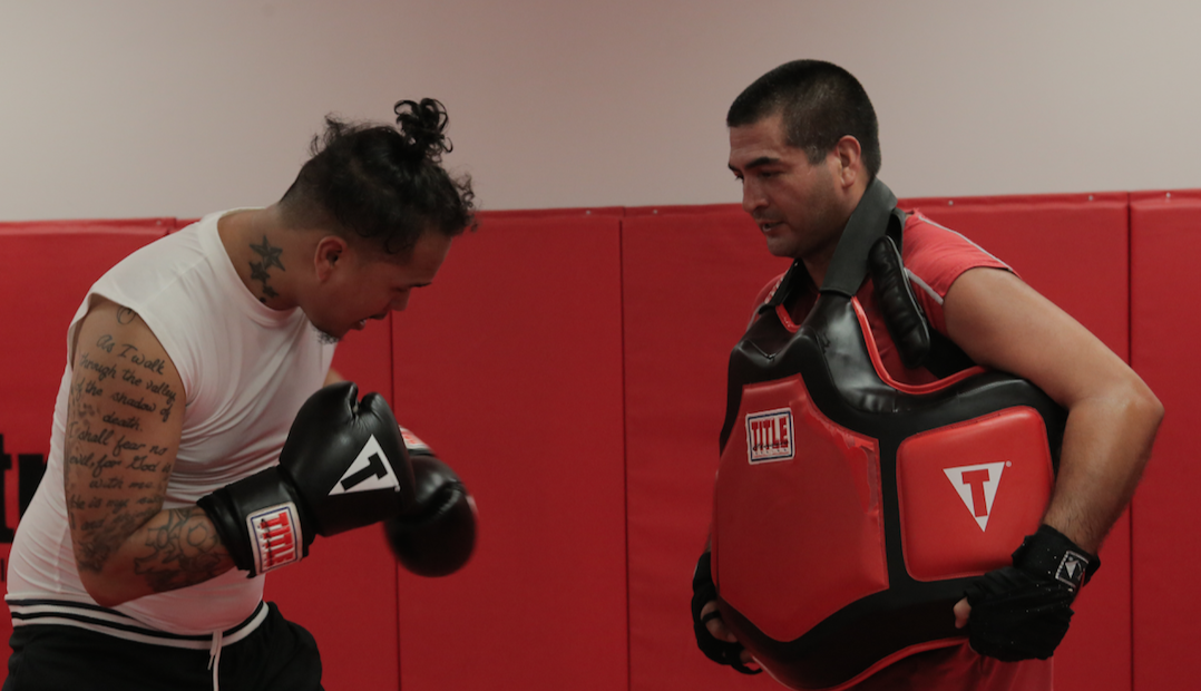 learn boxing
